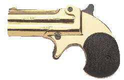 pistol photo